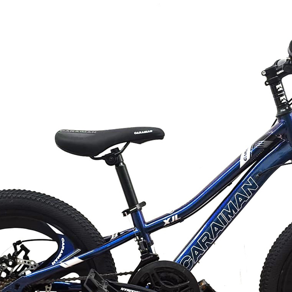 Bicicleta Caraiman 20T-XJL-3, cadru otel, frane pe disc