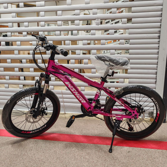 Bicicleta 20-CR cu Jante duble Aluminiu, Roz