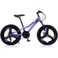 Bicicleta Fulger 20T-XJL-3, cadru otel, frane pe disc