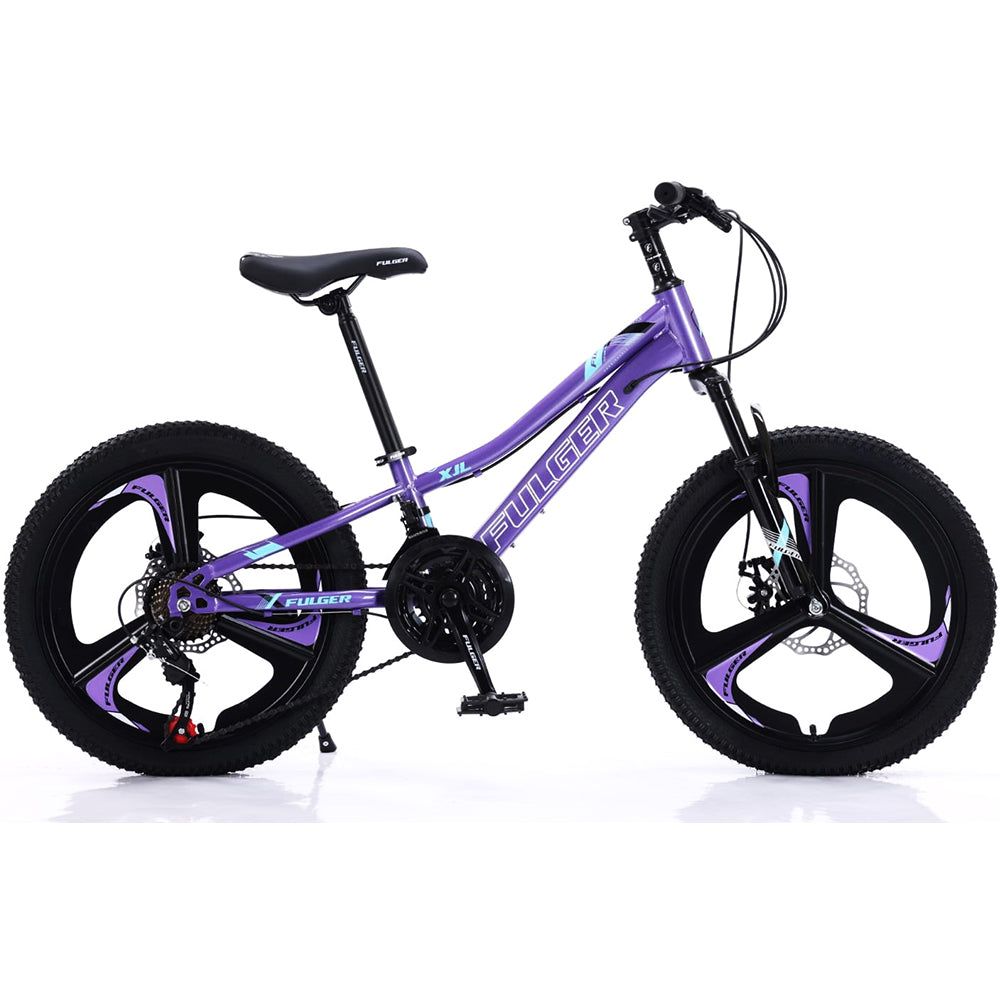 Bicicleta Fulger 20T-XJL-3, cadru otel, frane pe disc
