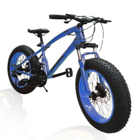 Bicicleta Fat-Bike 20-E pentru copii 7 si 12 ani