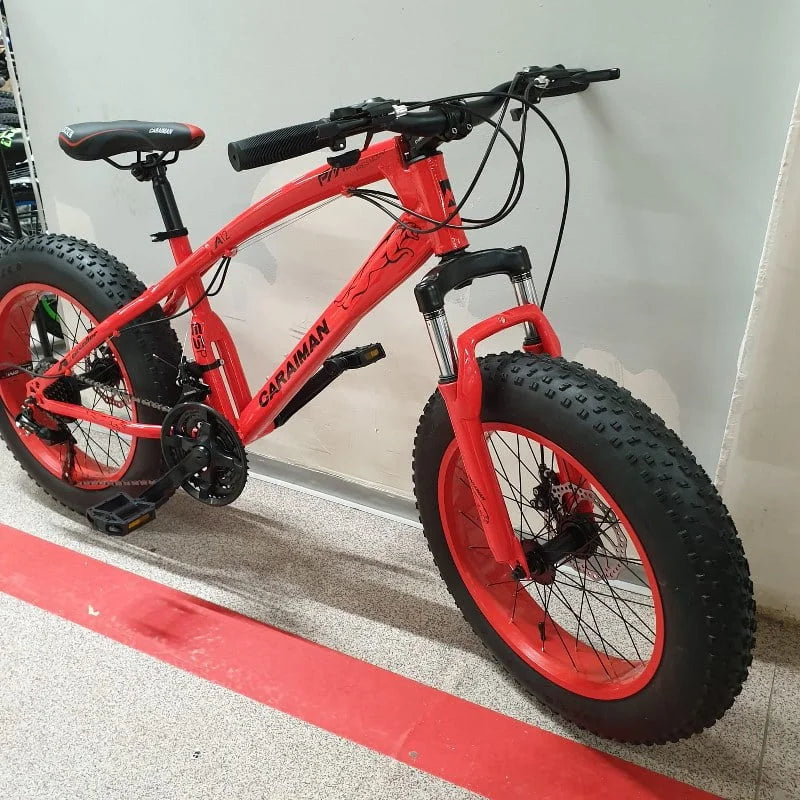 Bicicleta Fat-Bike 20-E pentru copii 7 si 12 ani