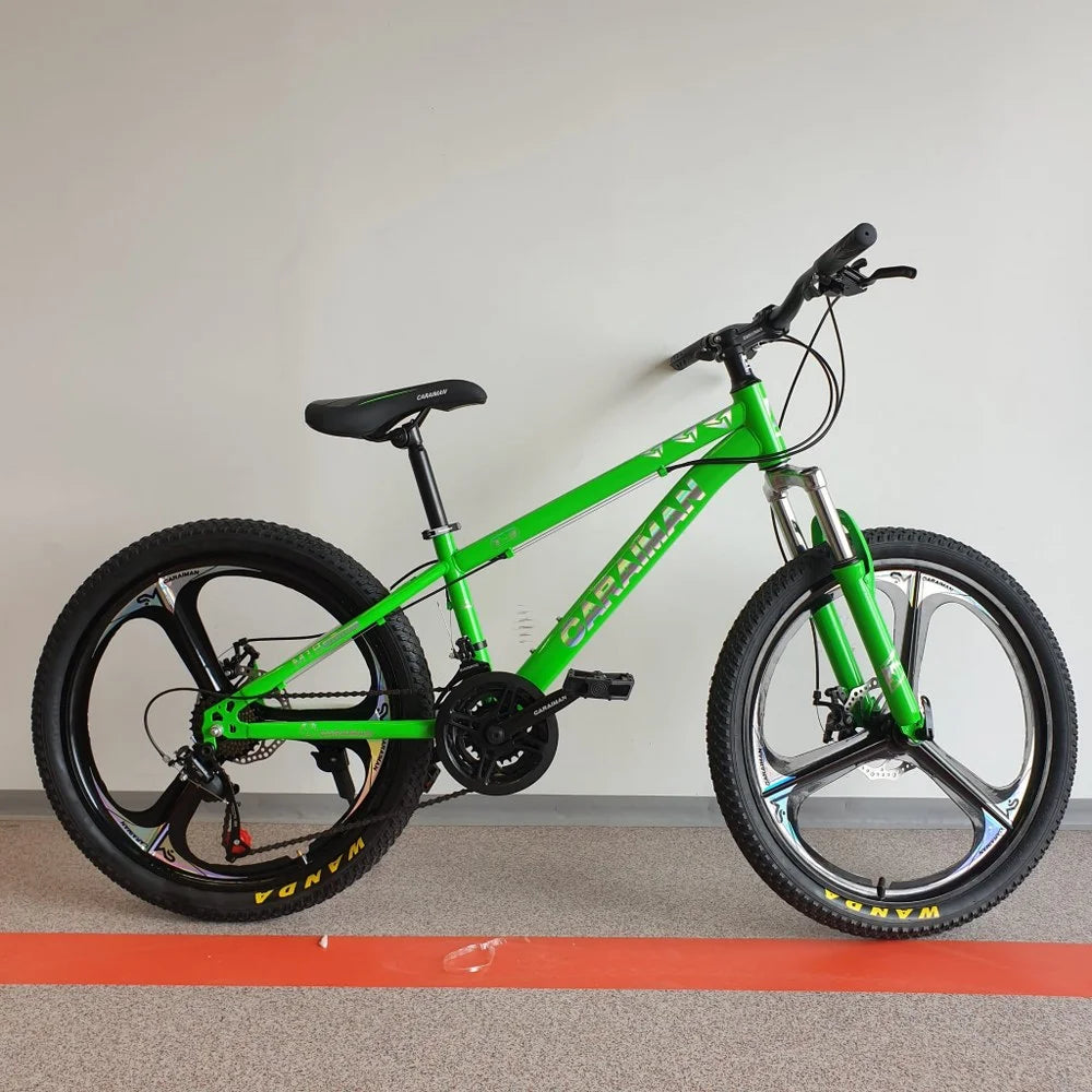 Bicicleta Montain Bike 24-T-3 cu viteze Caraiman