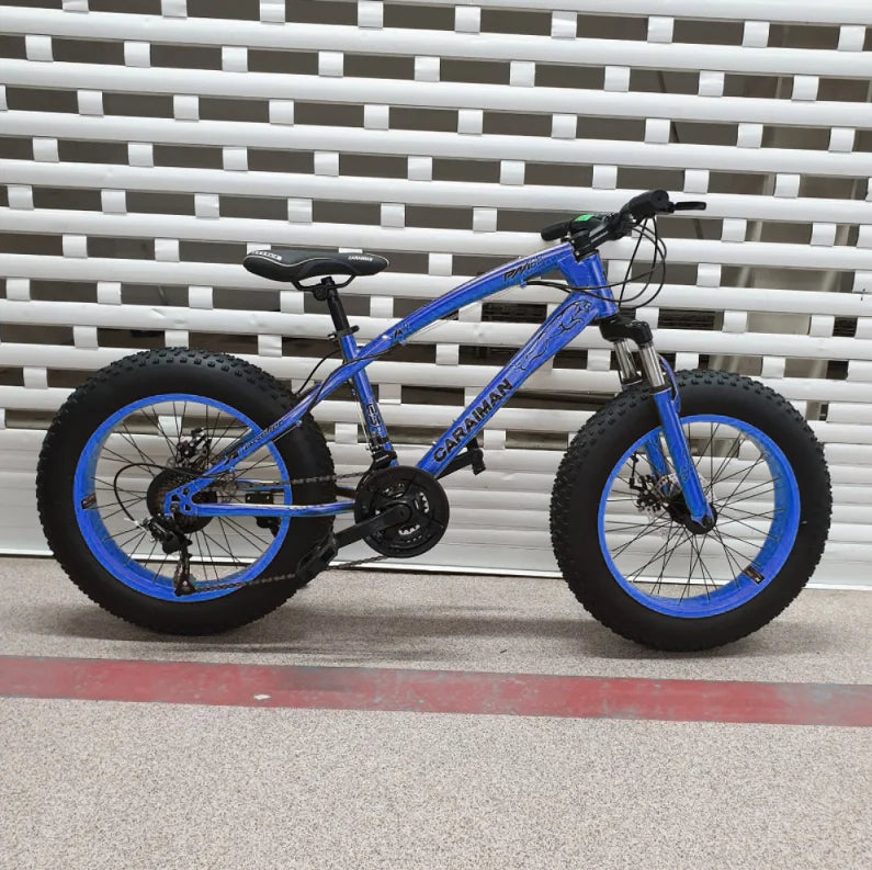 Bicicleta Fat-Bike 20-E pentru copii 7 si 12 ani