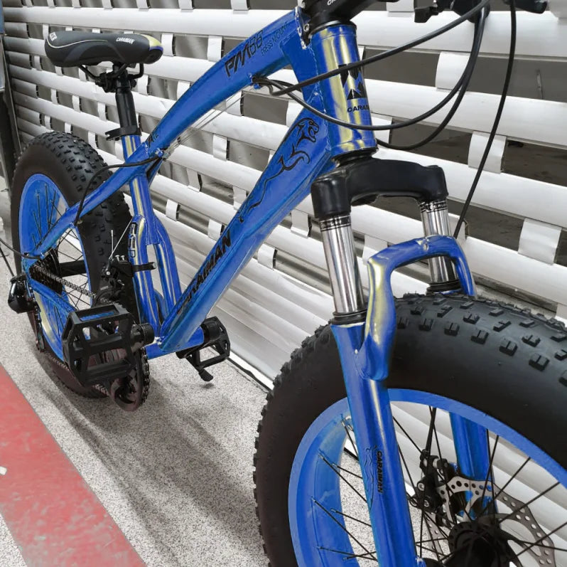 Bicicleta Fat-Bike 20-E pentru copii 7 si 12 ani