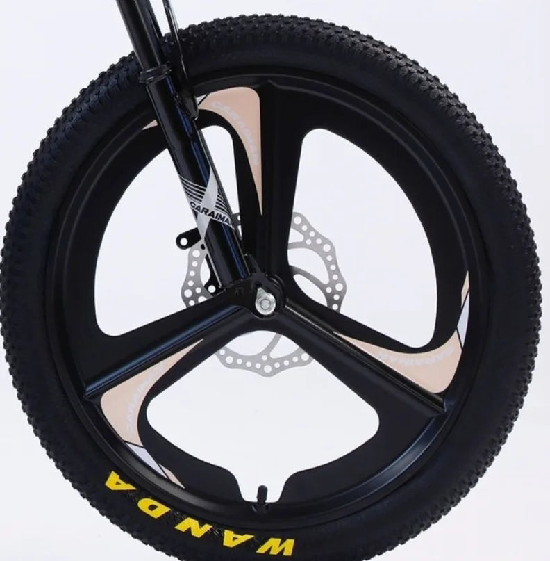 Bicicleta Fulger 20T-XJL-3, cadru otel, frane pe disc