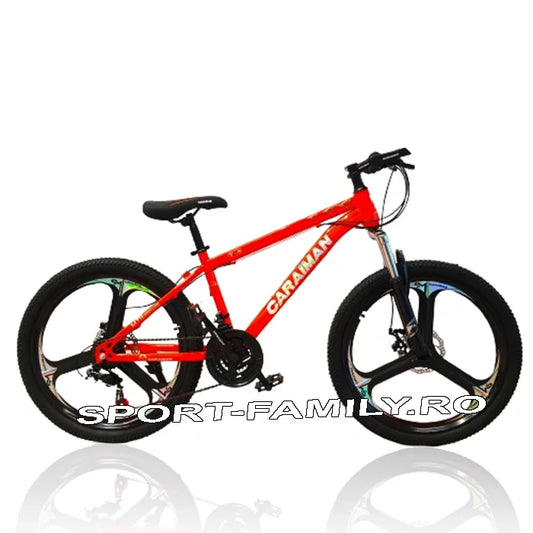 Bicicleta Montain Bike 24-T-3 cu viteze Caraiman