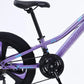 Bicicleta Caraiman 20T-XJL-3, cadru otel, frane pe disc