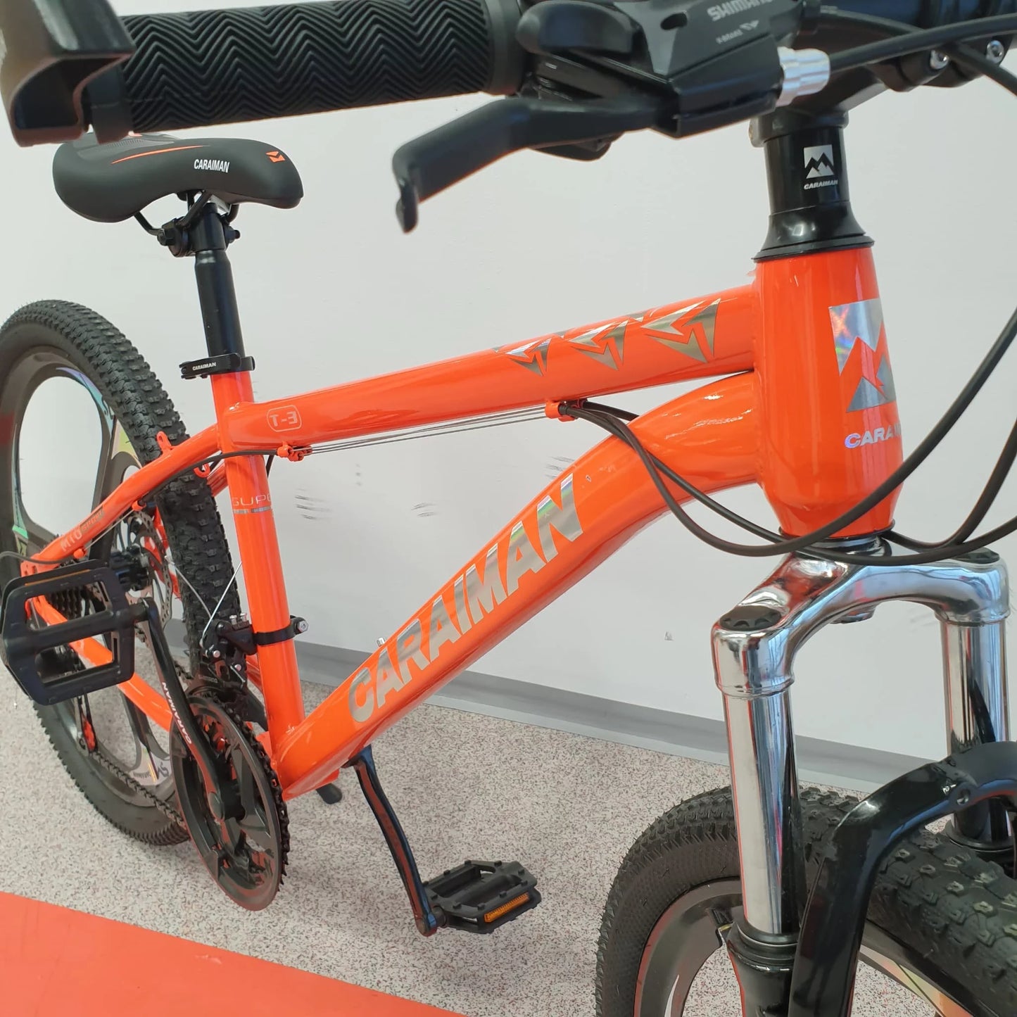 Bicicleta Montain Bike 24-T-3 cu viteze Caraiman