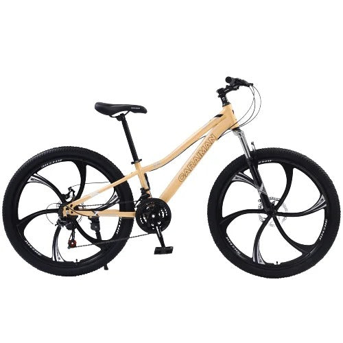 Bicicleta MBT cu Viteze 24T-XJL Caraiman cu jante Aliaj