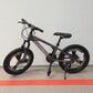 Bicicleta cu jante Aluminiu pentru copii 6 si 12 ani