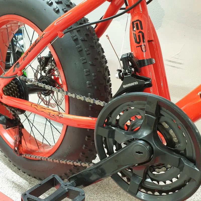 Bicicleta Fat-Bike 20-E pentru copii 7 si 12 ani