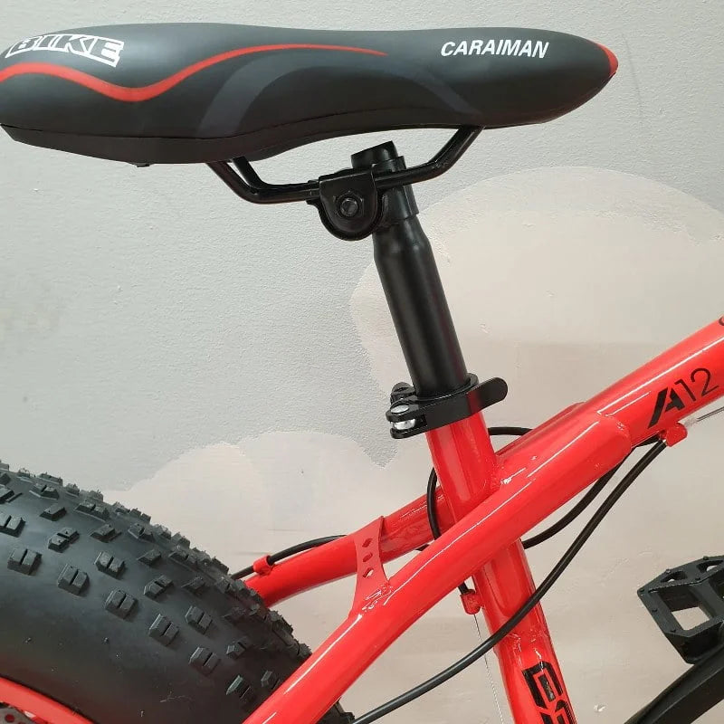 Bicicleta Fat-Bike 20-E pentru copii 7 si 12 ani