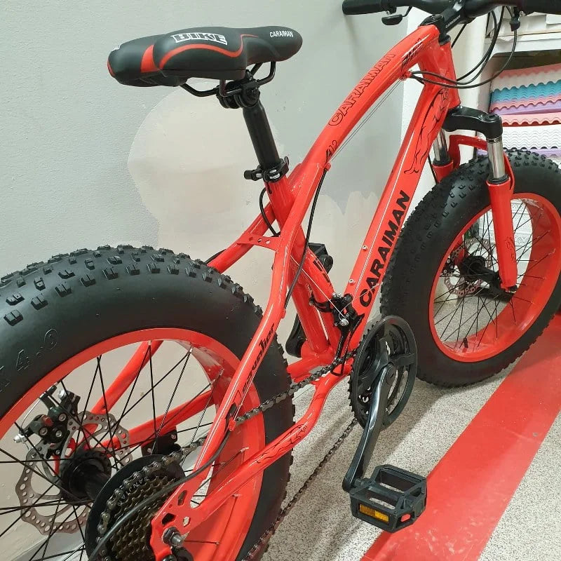 Bicicleta Fat-Bike 20-E pentru copii 7 si 12 ani