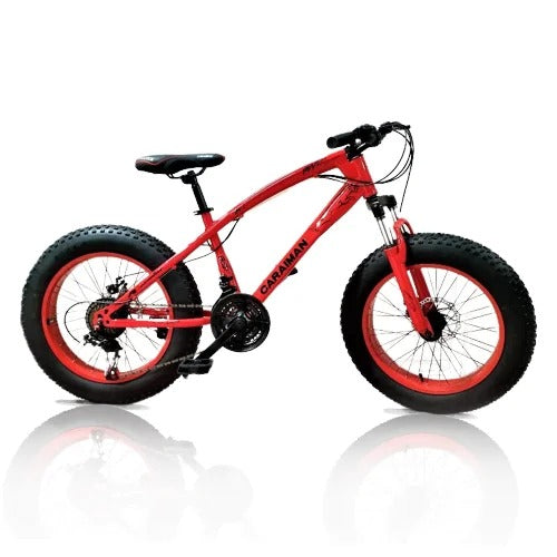 Bicicleta Fat-Bike 20-E pentru copii 7 si 12 ani